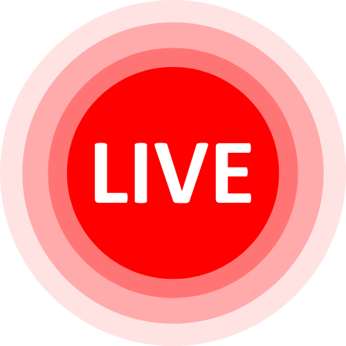 Live Chat X